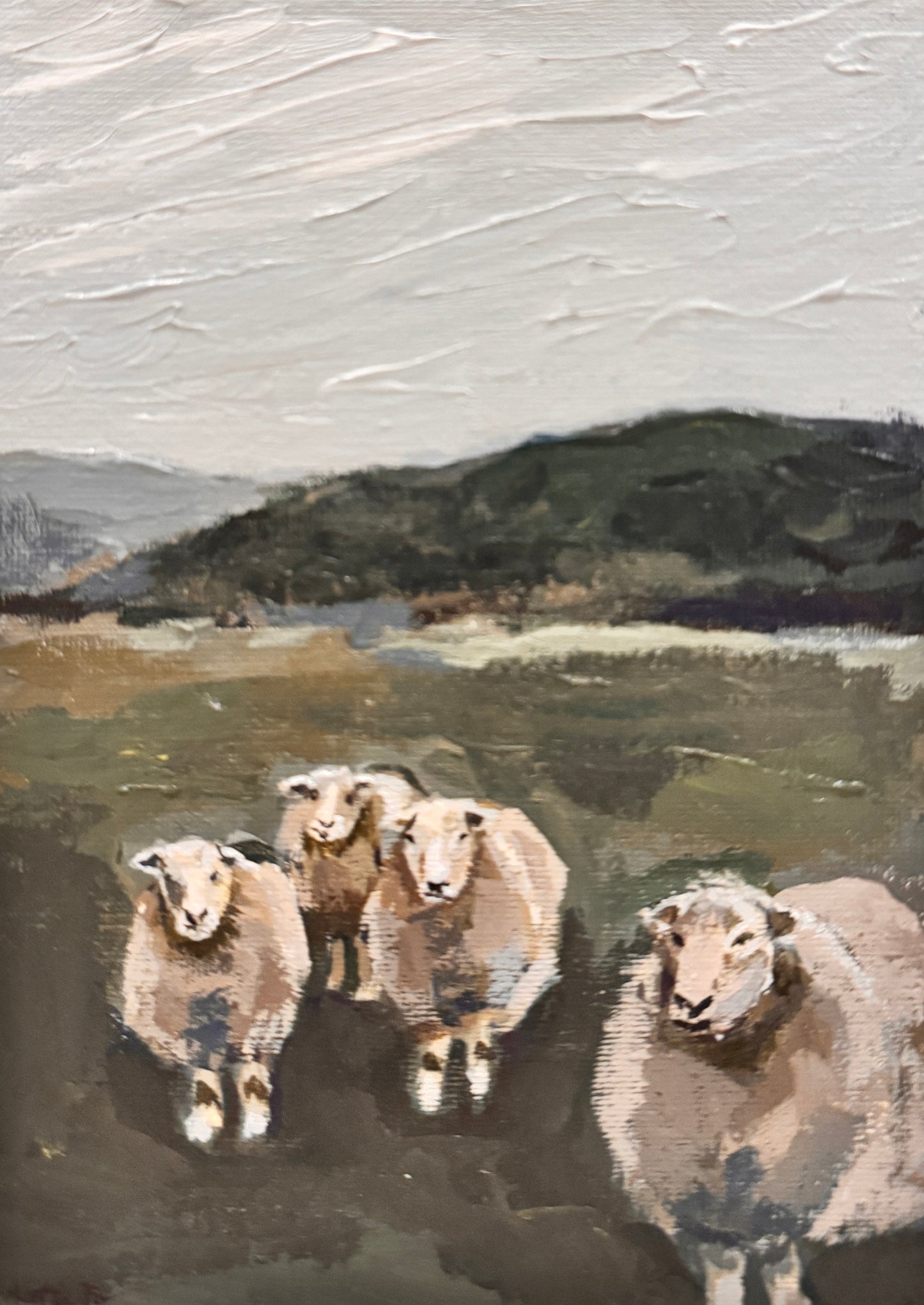 "Field of Sheep" Print
