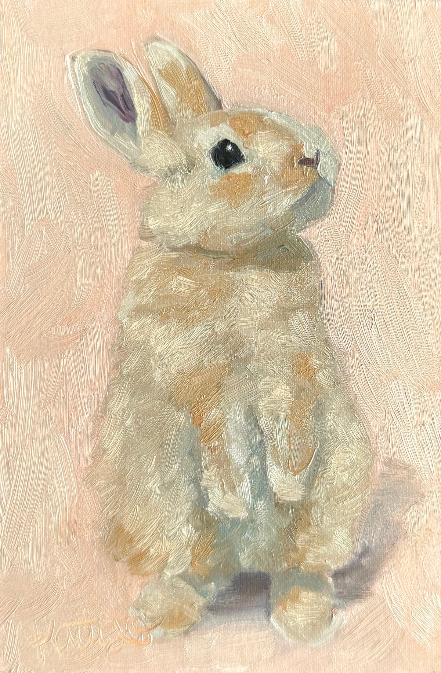 "Sweet Bunny" Original