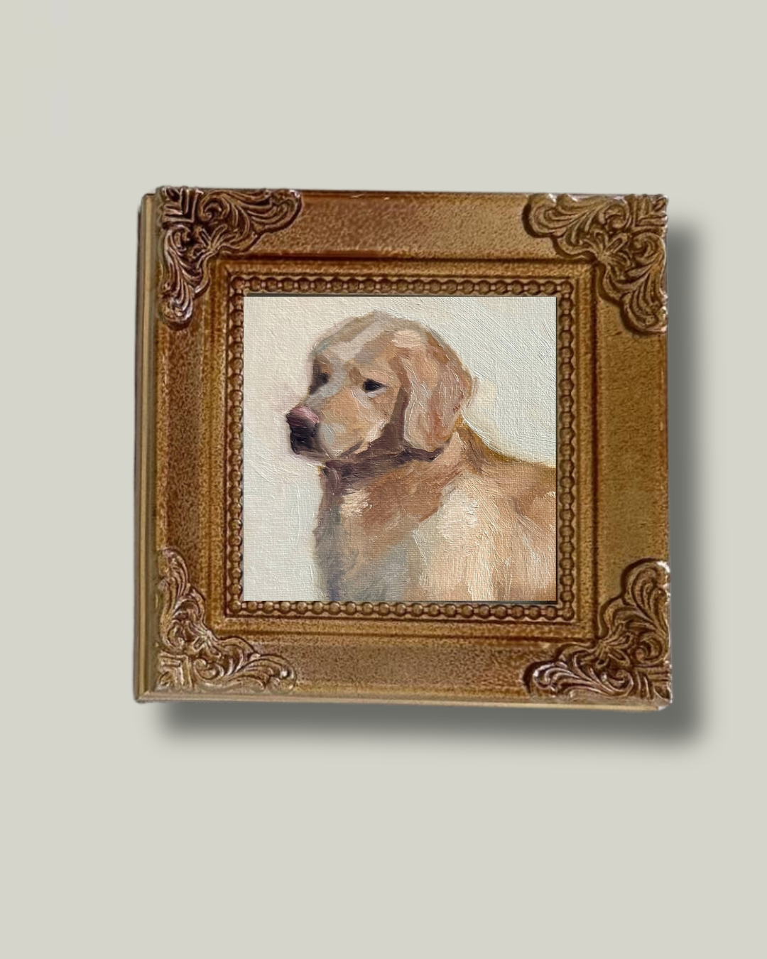 "Retriever" Mini