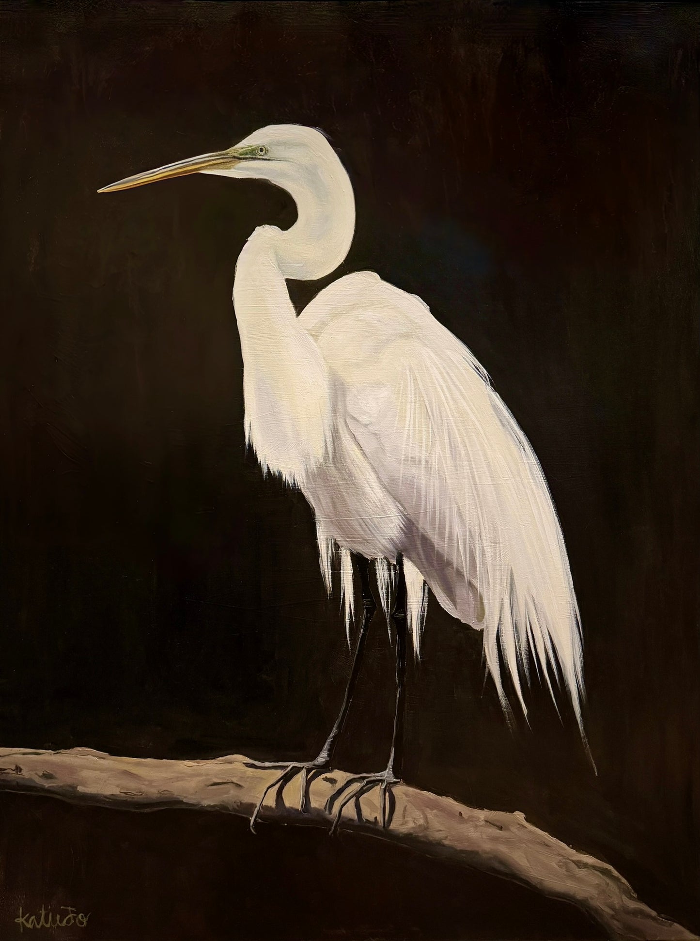 "The Patient Egret"
