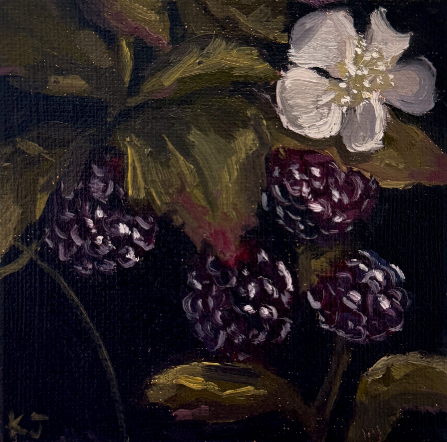 "Midnight Berries" Original