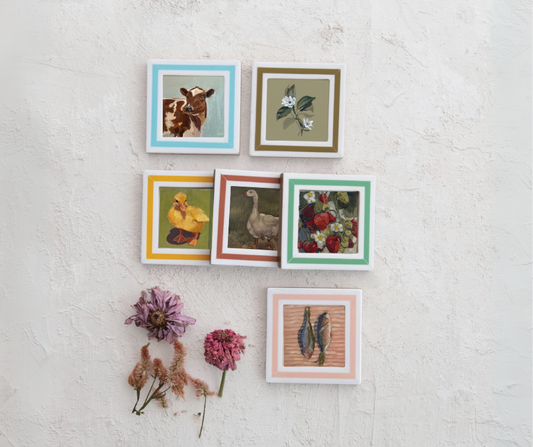 Magnet Regatta Minis