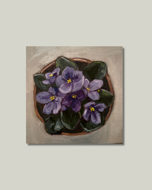 "African Violets" Print