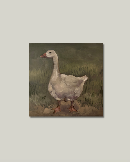 "Mr.Goose" Print