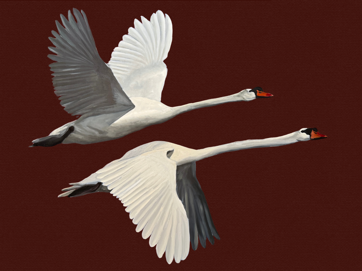 "Way of Swans" Original