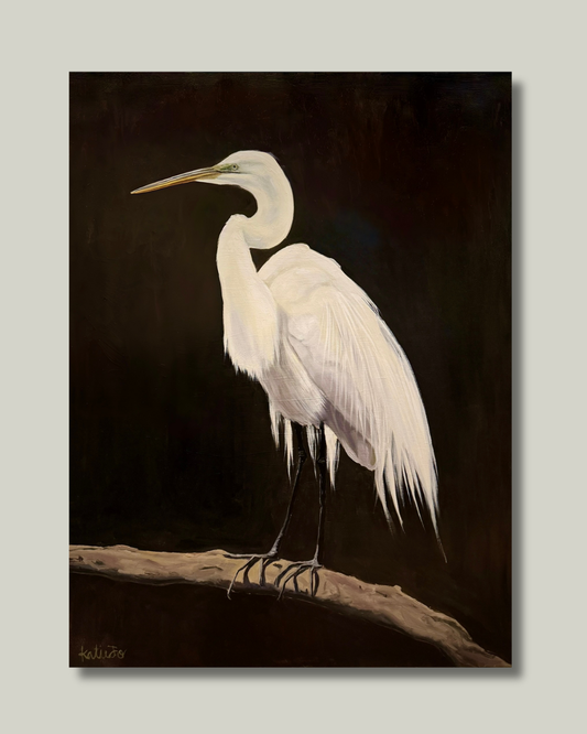 "The Patient Egret"