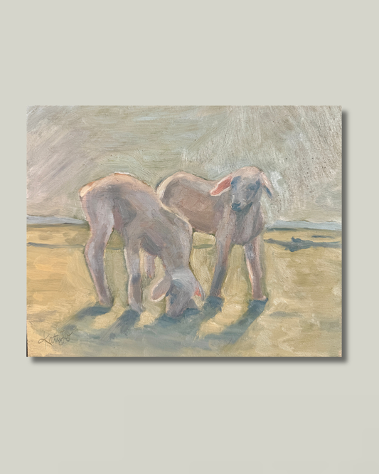 "Little Lambs"