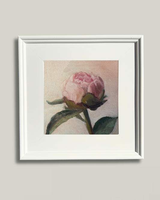 "Single Peony" White French Frame