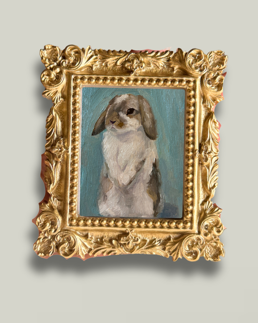 "Shy Bunny" Magnet Mini